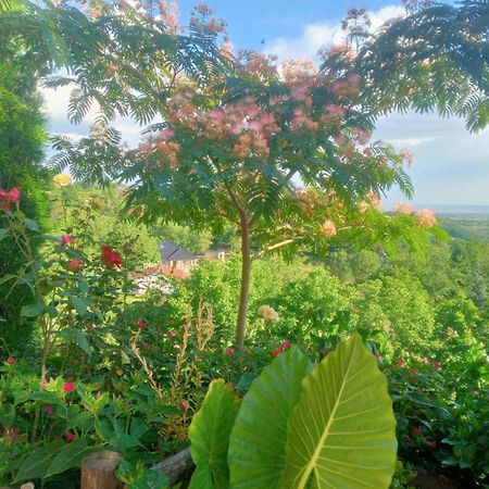 Apartment Noletov Vidikovac Vrdnik Zewnętrze zdjęcie