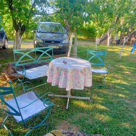 Apartment Noletov Vidikovac Vrdnik Zewnętrze zdjęcie