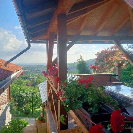Apartment Noletov Vidikovac Vrdnik Zewnętrze zdjęcie