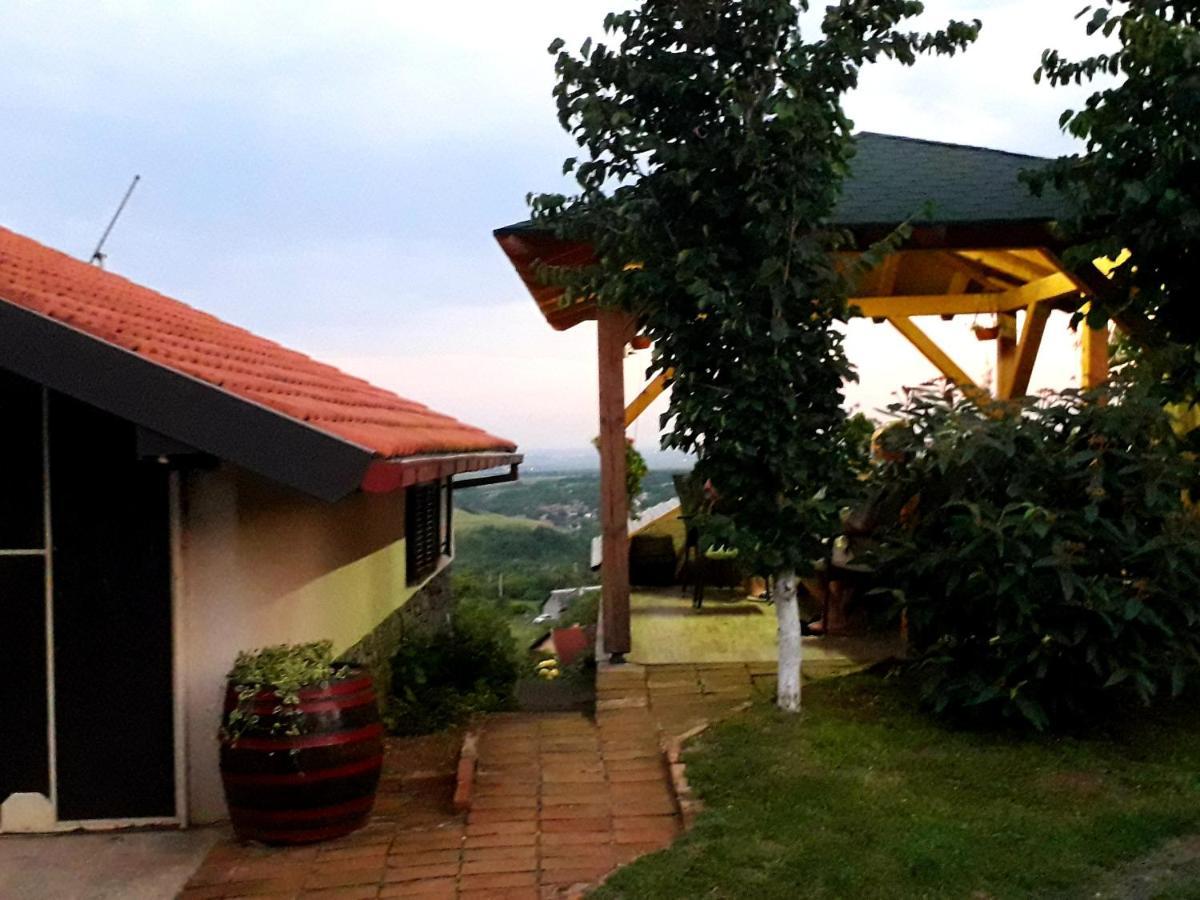 Apartment Noletov Vidikovac Vrdnik Zewnętrze zdjęcie