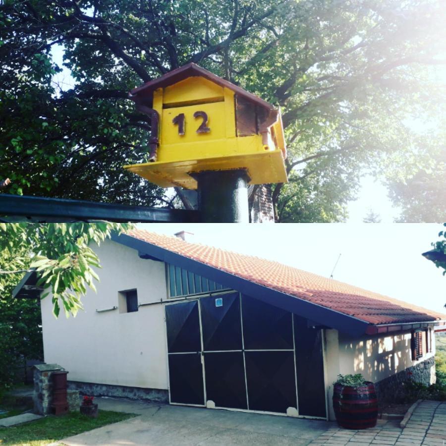 Apartment Noletov Vidikovac Vrdnik Zewnętrze zdjęcie