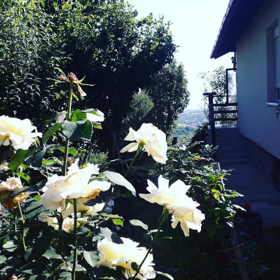 Apartment Noletov Vidikovac Vrdnik Zewnętrze zdjęcie