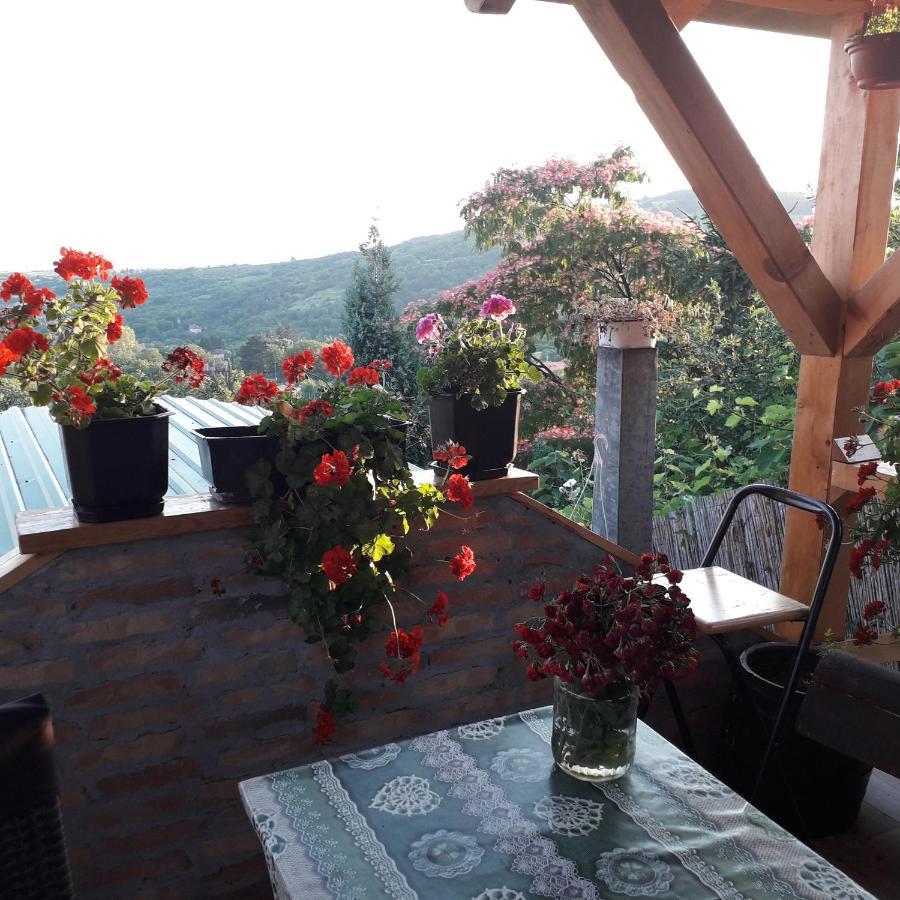 Apartment Noletov Vidikovac Vrdnik Zewnętrze zdjęcie