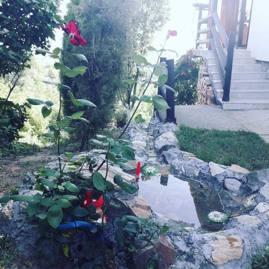 Apartment Noletov Vidikovac Vrdnik Zewnętrze zdjęcie