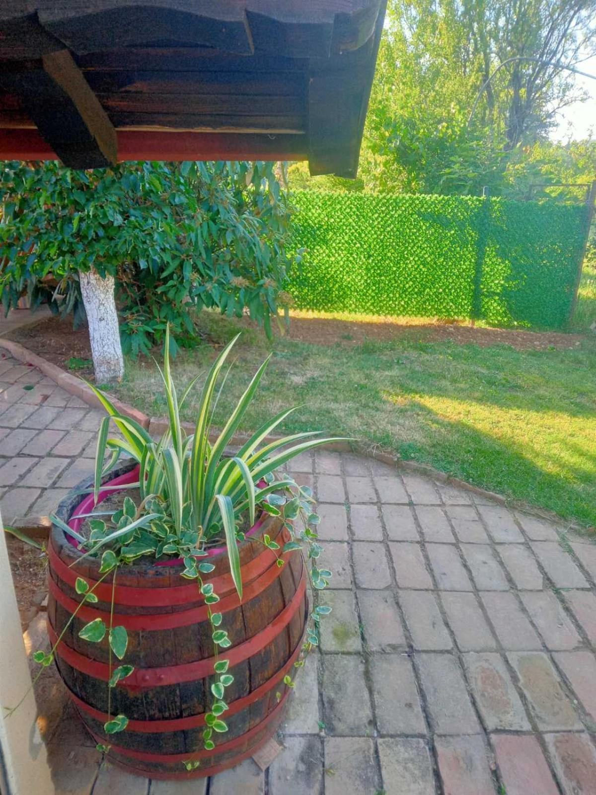 Apartment Noletov Vidikovac Vrdnik Zewnętrze zdjęcie