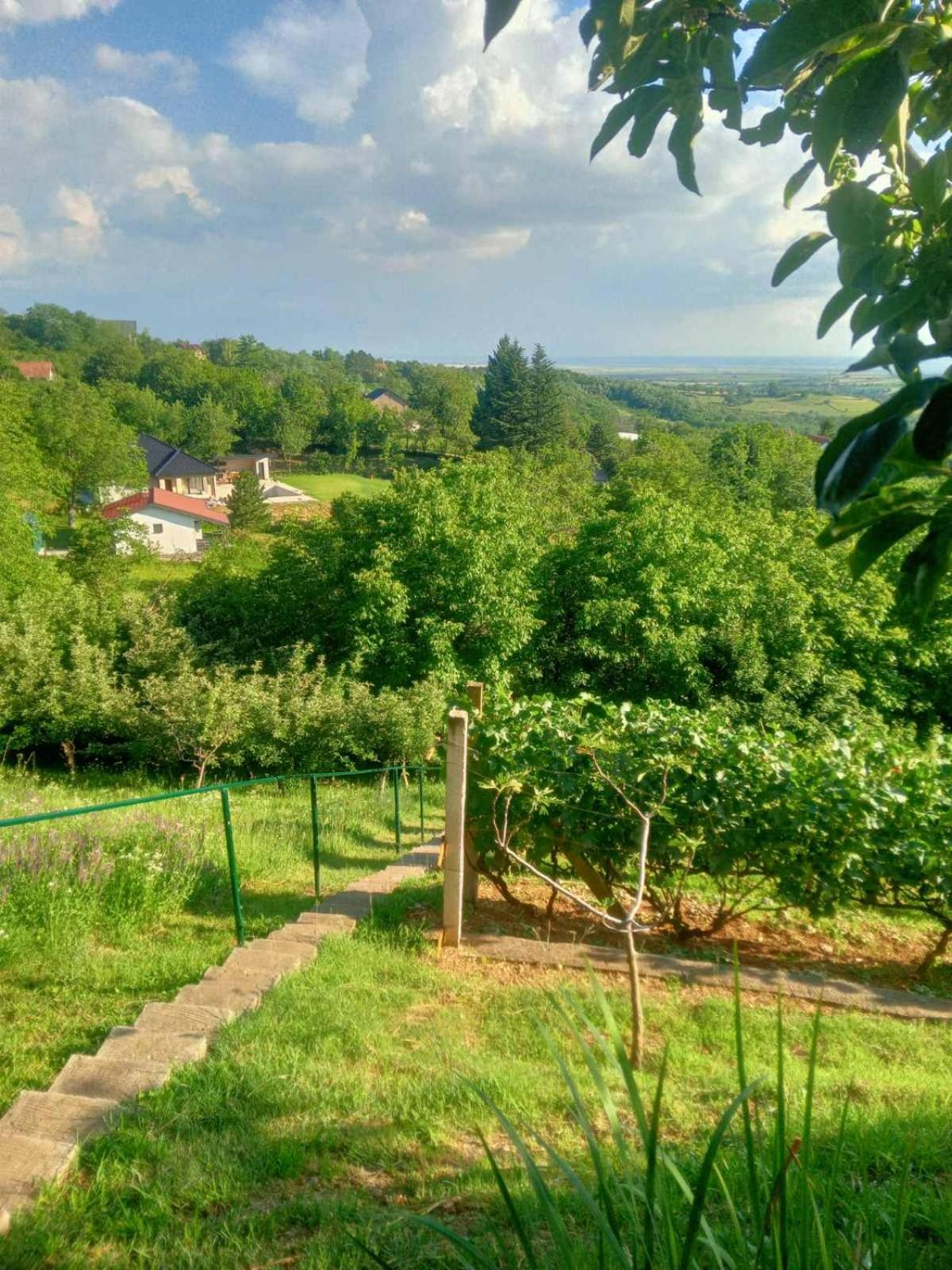 Apartment Noletov Vidikovac Vrdnik Zewnętrze zdjęcie