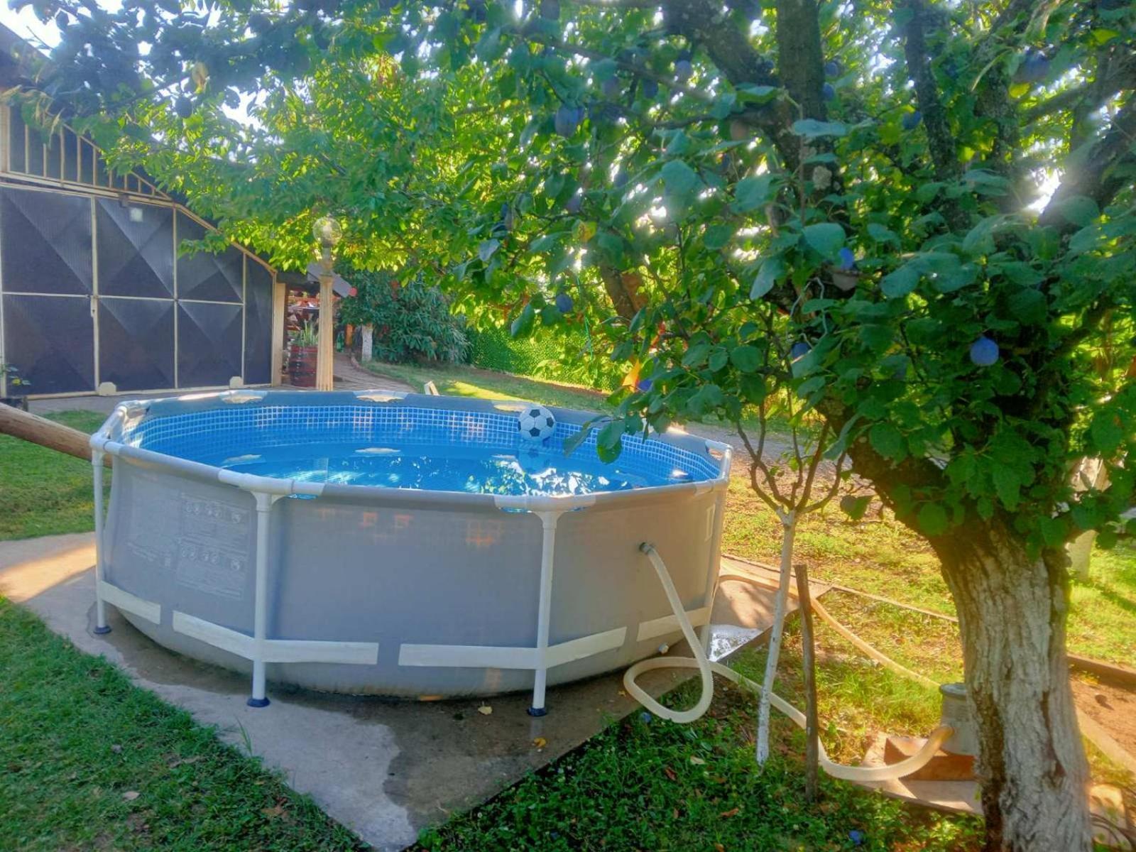 Apartment Noletov Vidikovac Vrdnik Zewnętrze zdjęcie