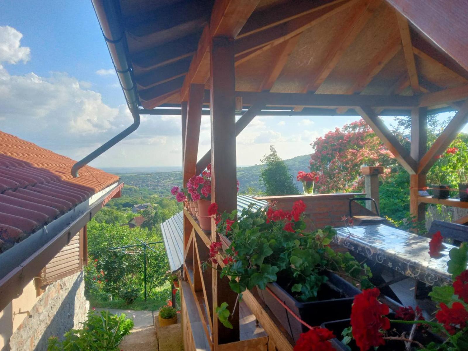 Apartment Noletov Vidikovac Vrdnik Zewnętrze zdjęcie