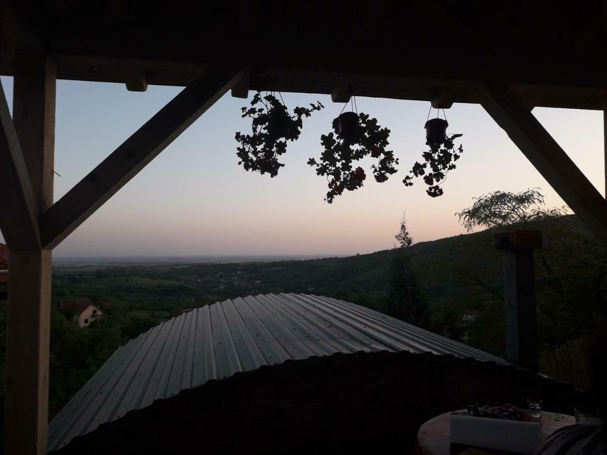 Apartment Noletov Vidikovac Vrdnik Zewnętrze zdjęcie