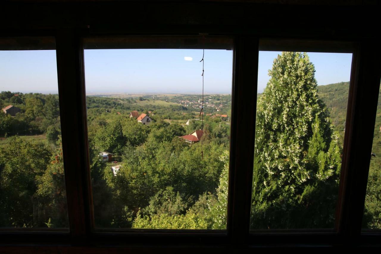 Apartment Noletov Vidikovac Vrdnik Zewnętrze zdjęcie