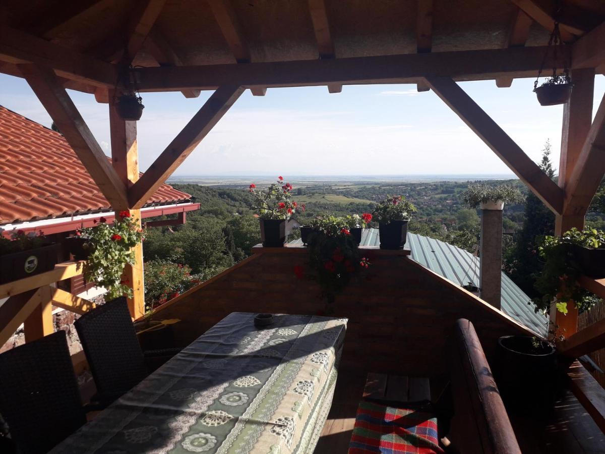 Apartment Noletov Vidikovac Vrdnik Zewnętrze zdjęcie